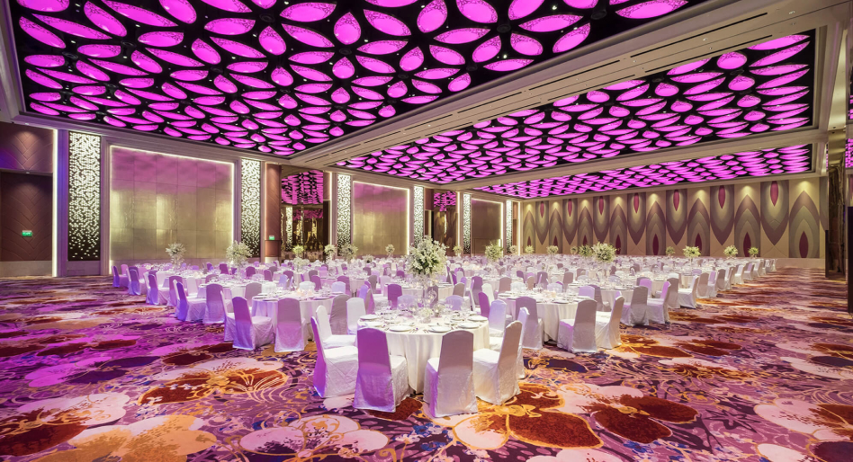 ピンクドルフィン