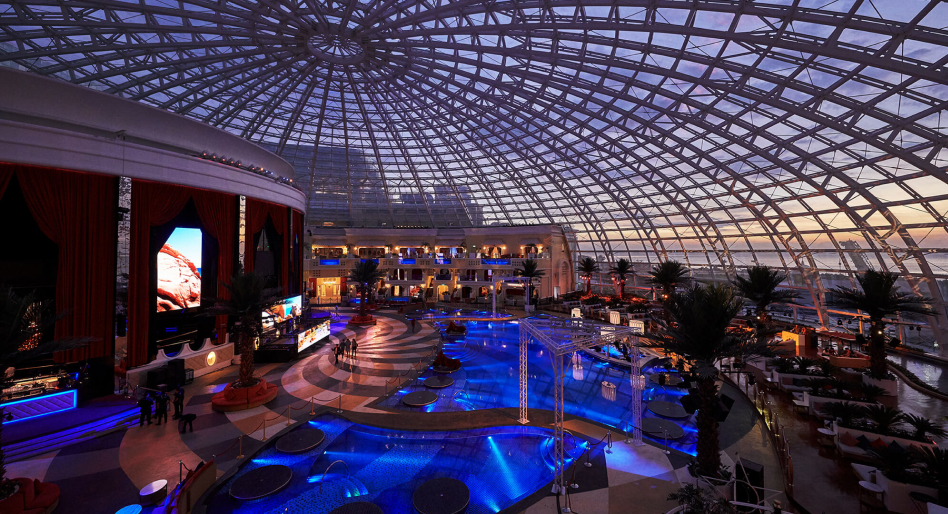 ピンクドルフィン